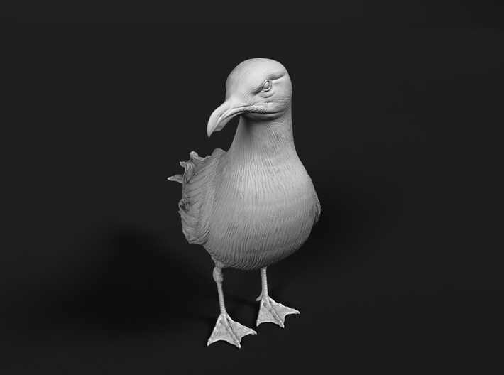 Glaucous Gull 1:35 Standing 3 3d printed 