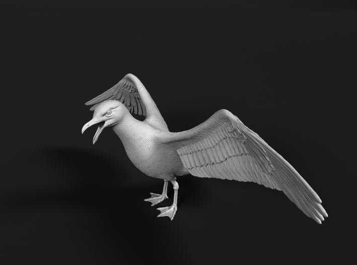 Herring Gull 1:25 Wings spread 3d printed 