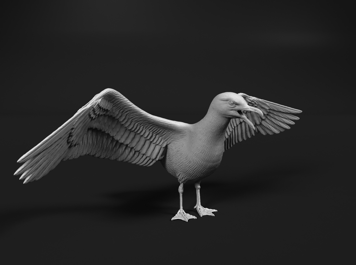 Herring Gull 1:9 Wings spread 3d printed