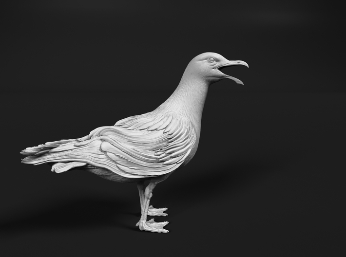 Herring Gull 1:35 Open beak 3d printed 