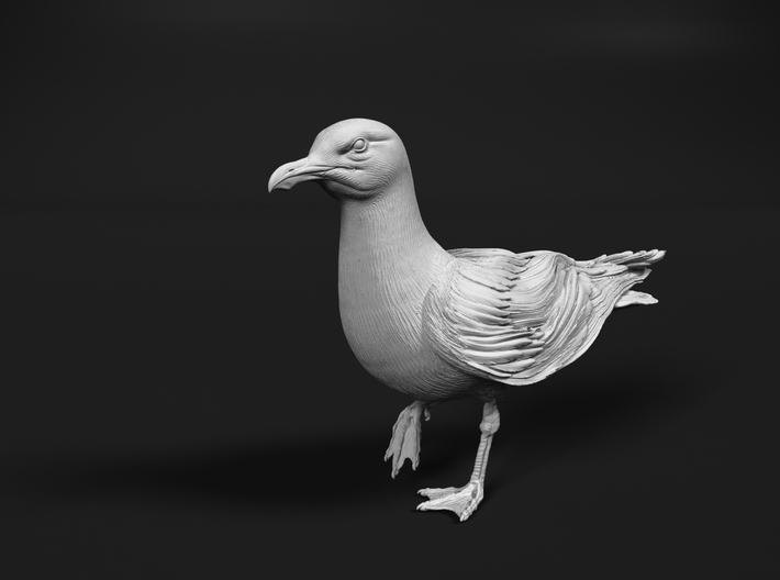 Herring Gull 1:20 On one leg 3d printed 