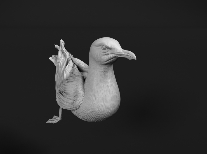 Herring Gull 1:35 Swimming 1 3d printed