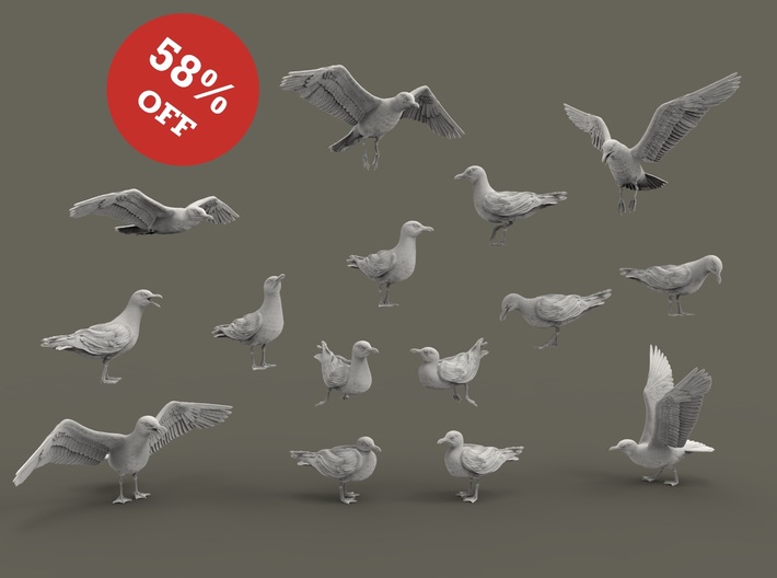 Herring Gull set 1:48 Fifteen different pieces 3d printed