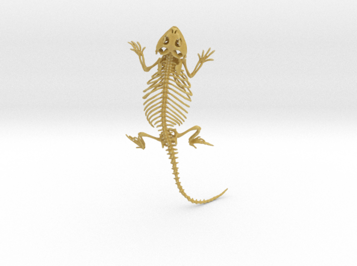 Bearded Dragon Skeleton - 4 Inches 3d printed 