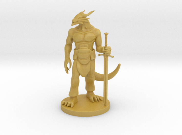 Dragonborn Great Weapon Fighter 3 3d printed 