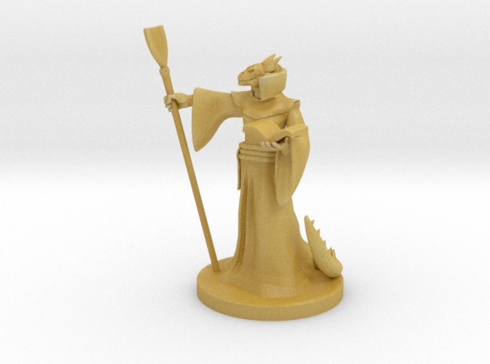 Dragonborn Abjuration Wizard 3d printed 