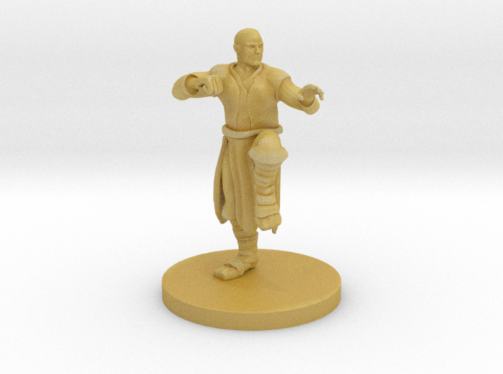 Human Martial Arts Adept 3d printed 