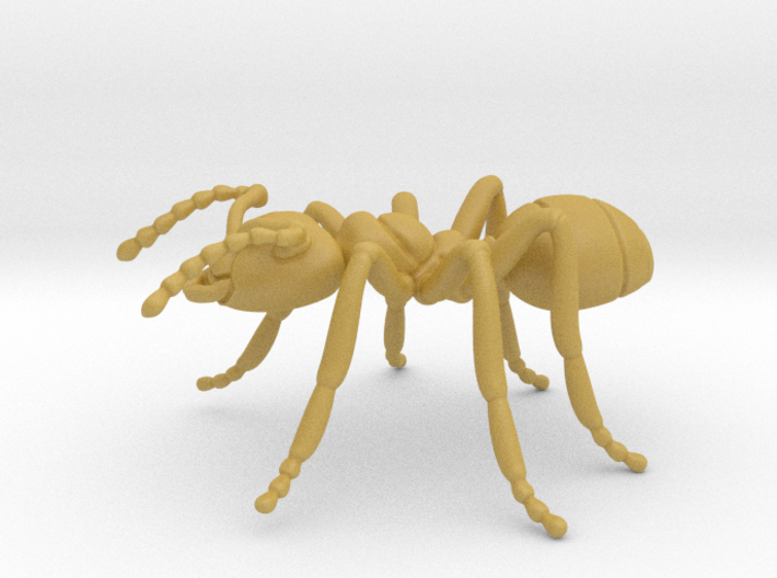 Ant 3d printed