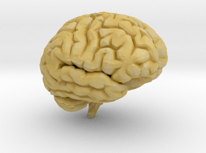 Brain 3D 3d printed 