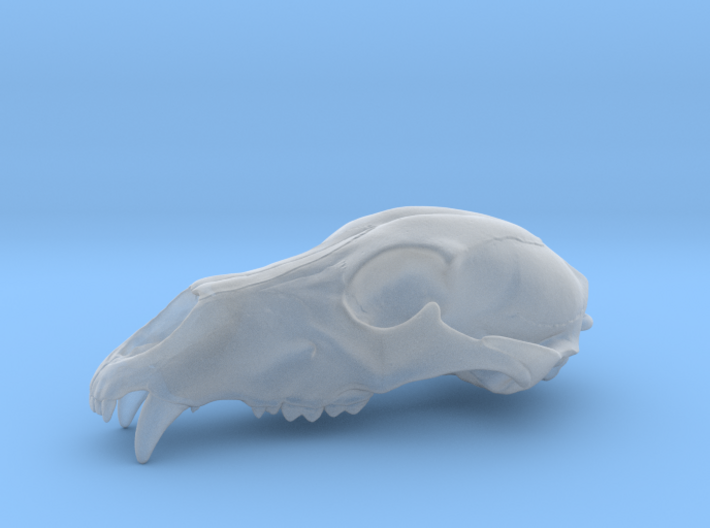 Bear Skull. WT-07. 6cm. 3d printed