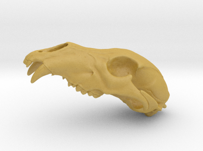Bear Skull. WT-1. 6cm 3d printed