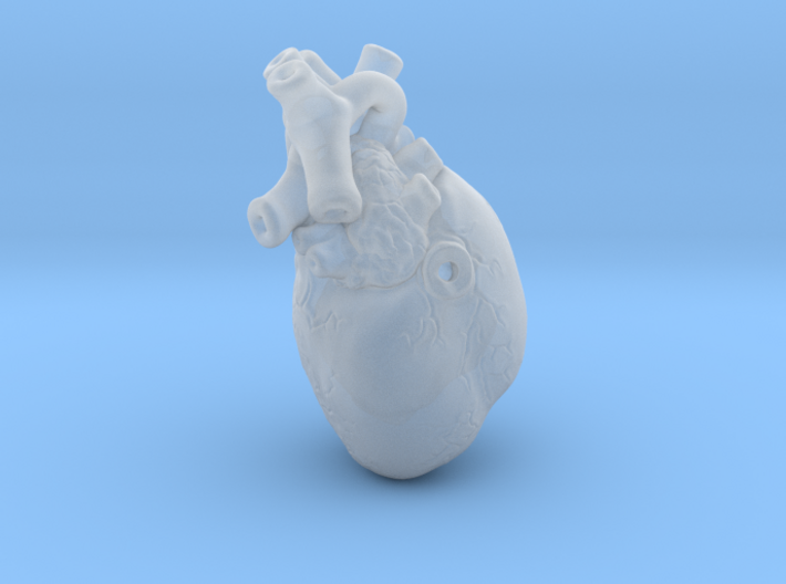 3D-Printed Anatomical Heart Pendant 3d printed
