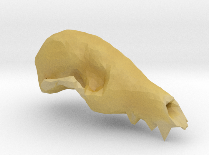 Fox Skull 3D Scan 3d printed