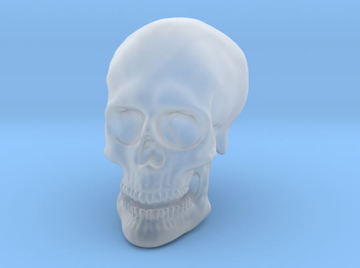Solid Skull 3d printed