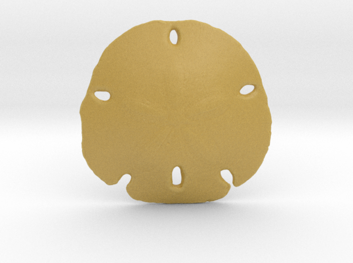 Sand Dollar 3d printed