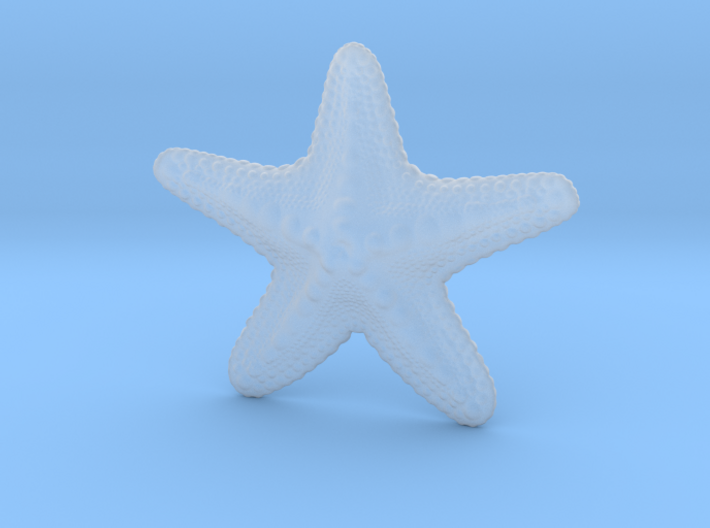 Starfish paperweight 3d printed