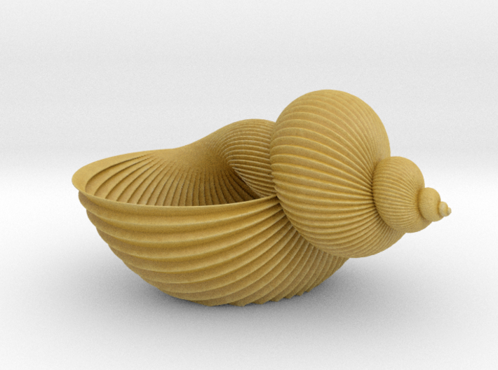 Shell Flower Pot 3d printed