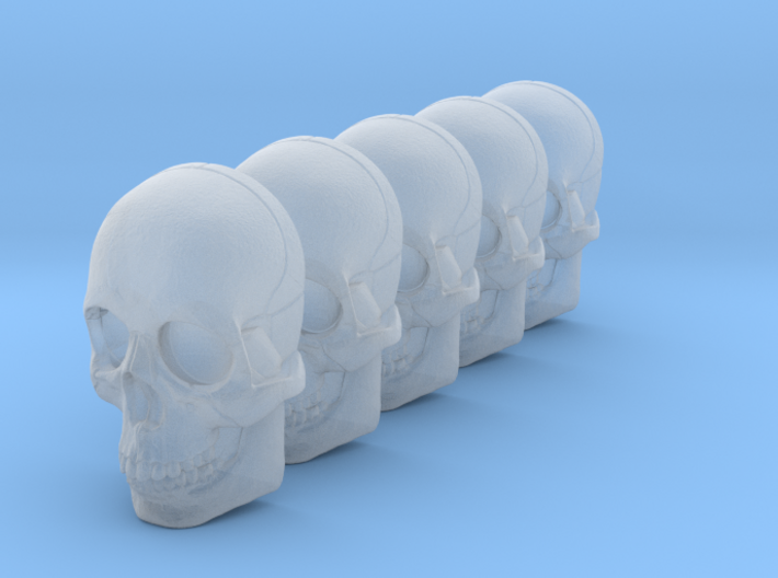 bsi-skull-human-05mm-jaw 028mm 3d printed