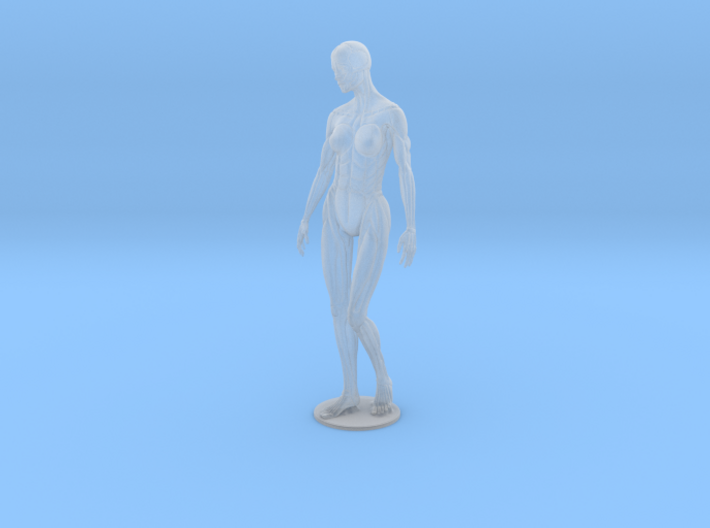Female form robotic anatomy 20cm 3d printed