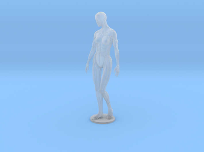 Female form robotic anatomy 12cm 3d printed