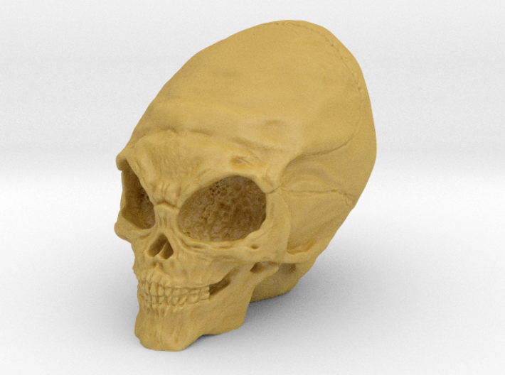 Alien Skull 3d printed