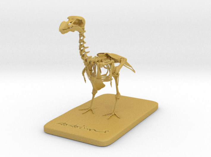 DODOISMe skeleton 3d printed