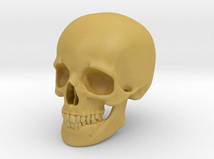 Skull For your desktop 3d printed