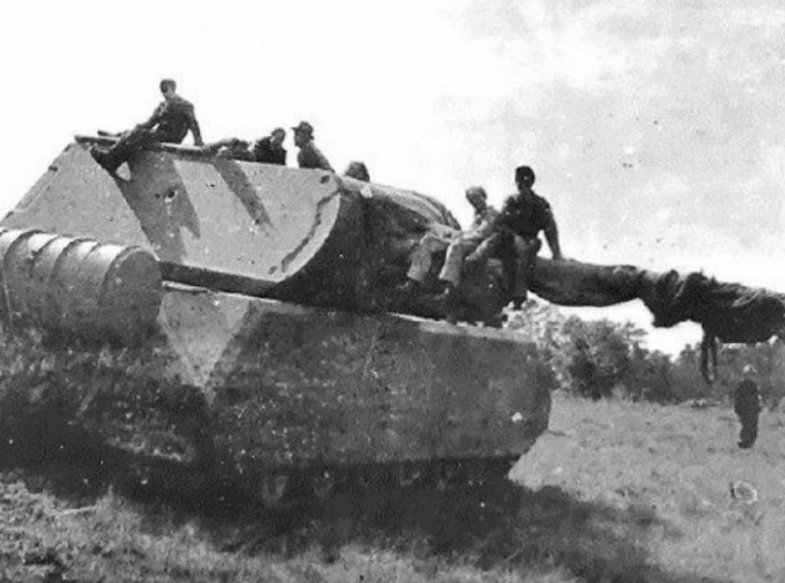 Tank - Panzer VIII Maus - size Small 3d printed 