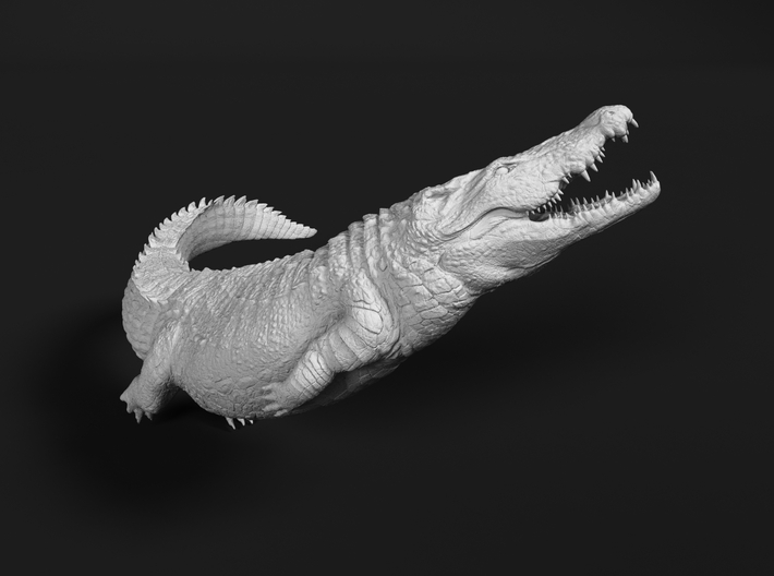 Nile Crocodile 1:20 Attacking in Water 2 3d printed 