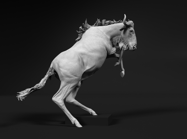 Blue Wildebeest 1:6 Startled Male 3d printed 