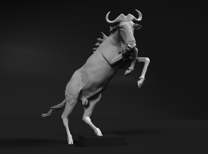 Blue Wildebeest 1:12 Startled Male 3d printed