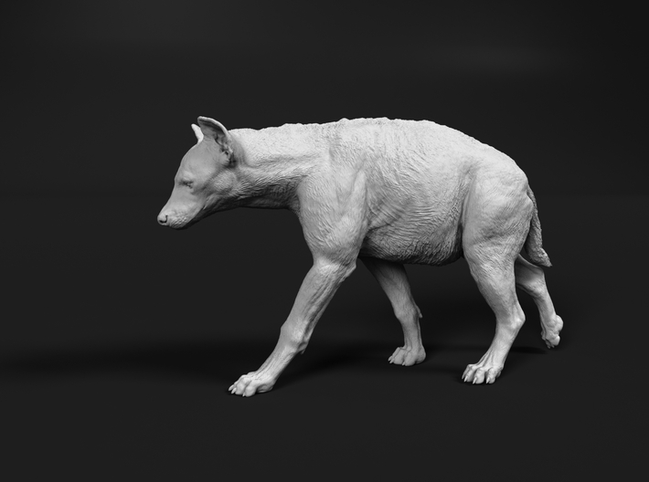 Spotted Hyena 1:87 Walking Female 1 3d printed 