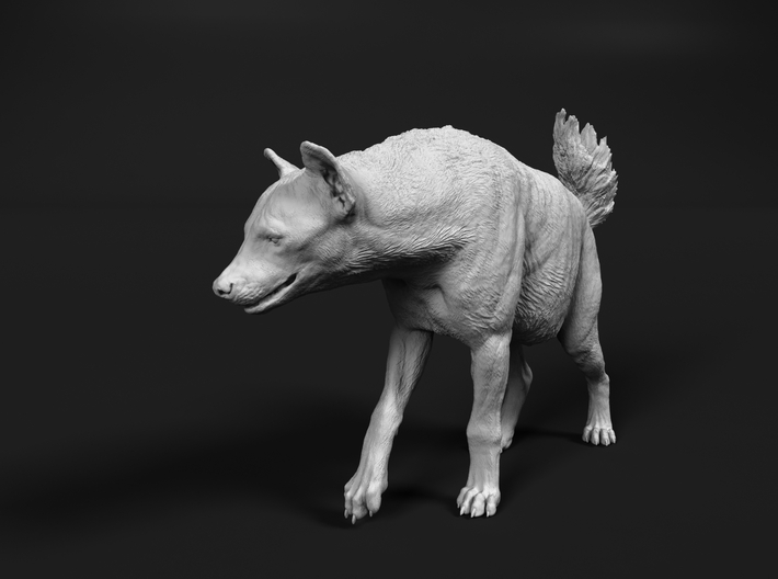 Spotted Hyena 1:87 Walking Female 2 3d printed 
