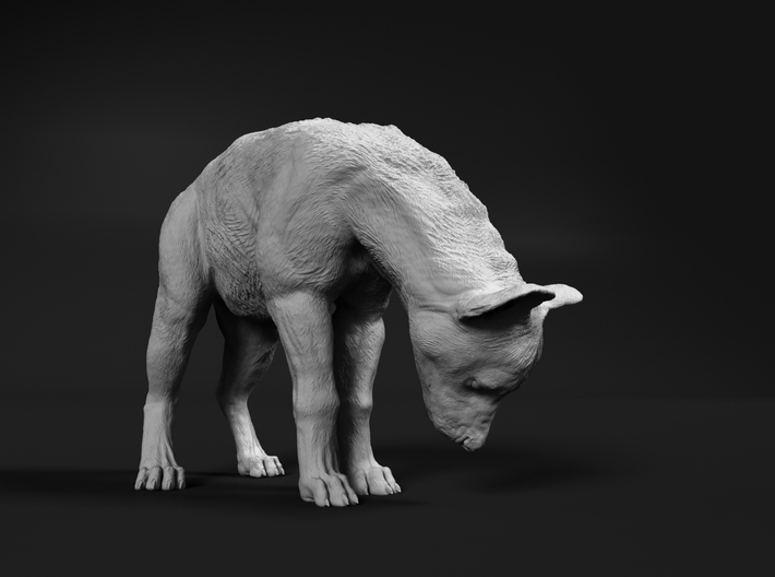 Spotted Hyena 1:12 Cub looking down 3d printed