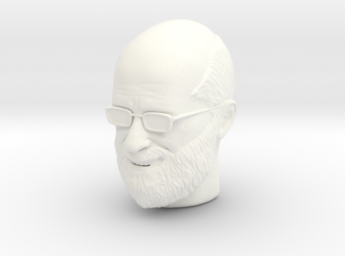 Head Sculpt - Beard Glasses 3d printed