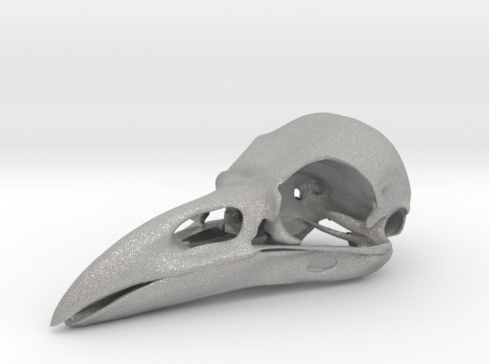 Raven skull 3d printed