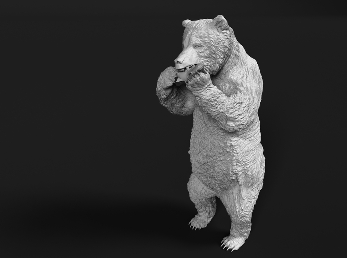 Grizzly Bear 1:35 Upright Male with Salmon 3d printed 