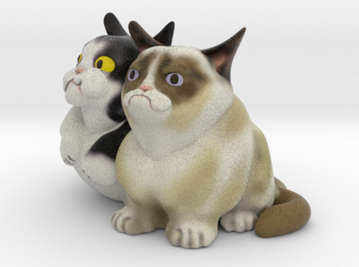 Grumpy Cat (Tard) & Pokey 3d printed 