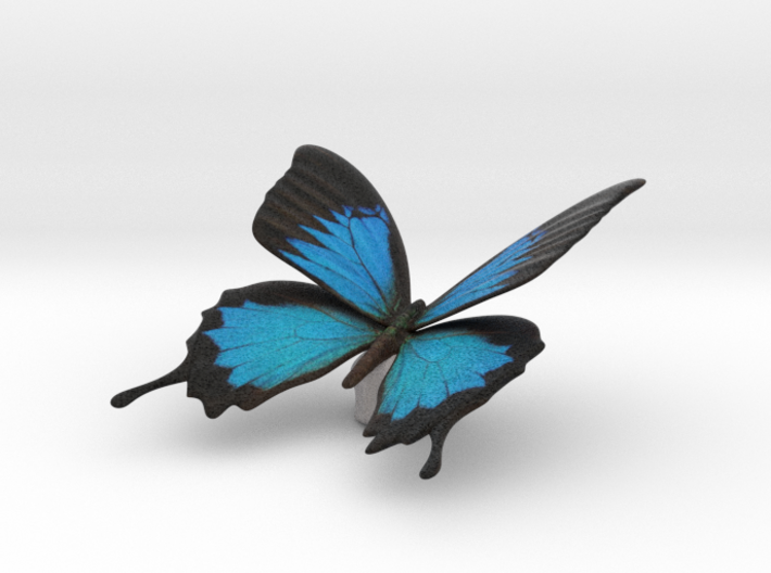 Blue Butterfly 3d printed 