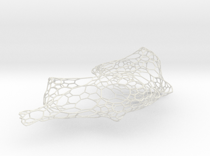 Complex Lattice Network 3d printed 