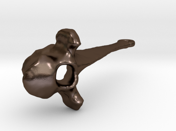 Vertebra 50mm With Loop 3d printed 