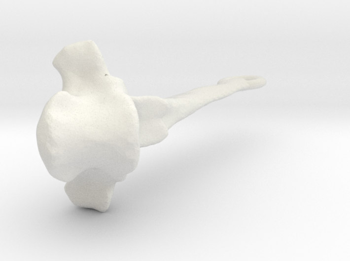 Vertebra 27mm With Loop 3d printed 