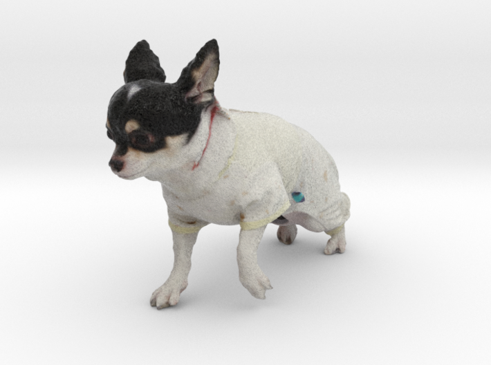 Chiwawa 3d printed 