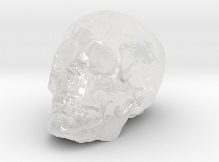 skull 3d printed