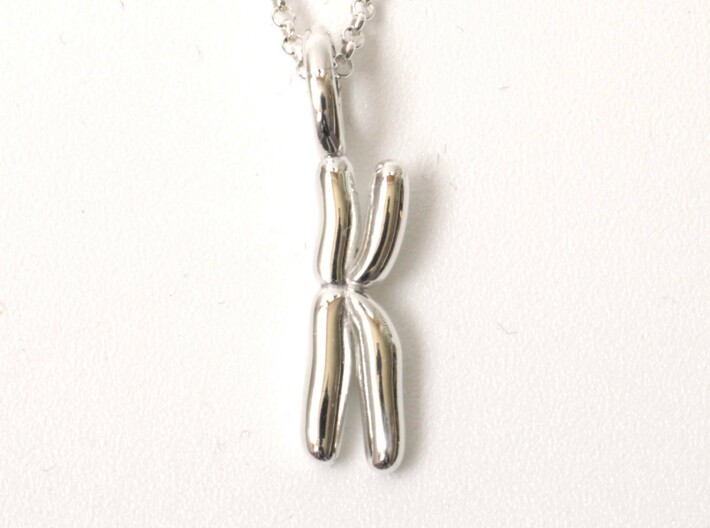 Chromosome Pendant - Science Jewelry 3d printed Chromosome pendant in polished silver