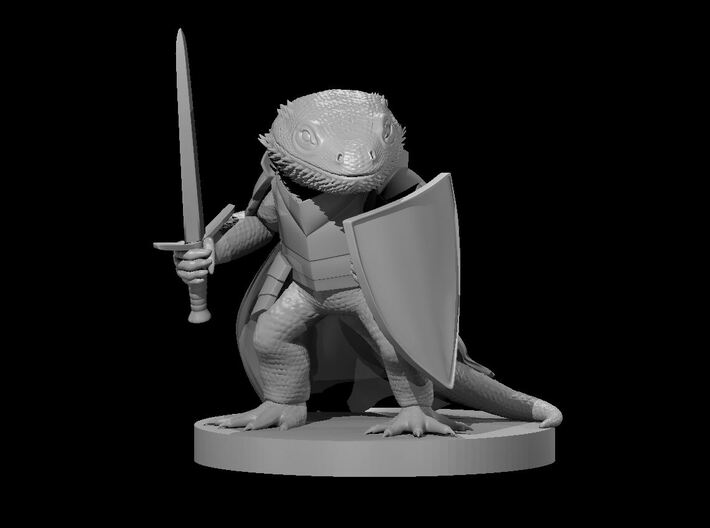 Bearded Dragonborn Fighter 3d printed
