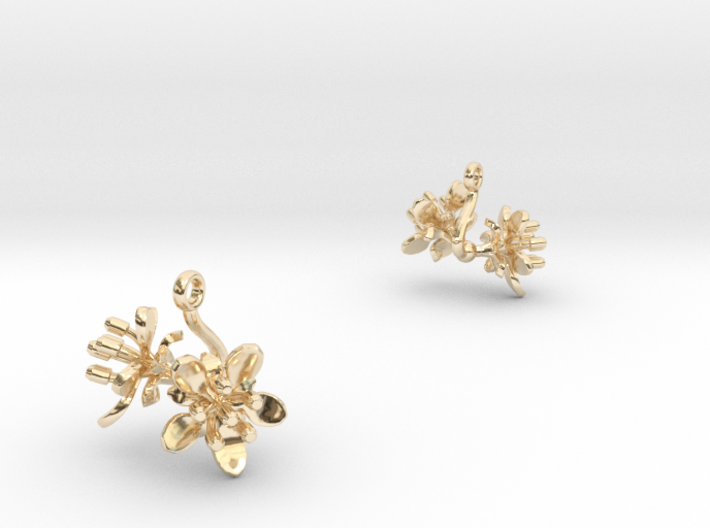 Earrings with two small flowers of the Raspberry 3d printed