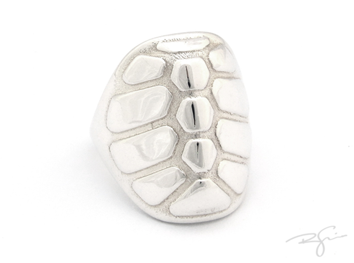 TORTOISE 3d printed POLISHED SILVER
