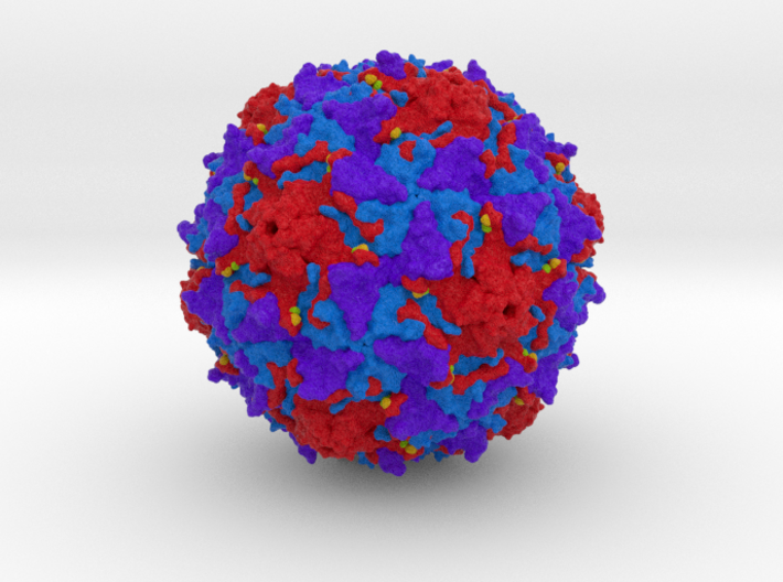 Poliovirus Type 2 1EAH 3d printed