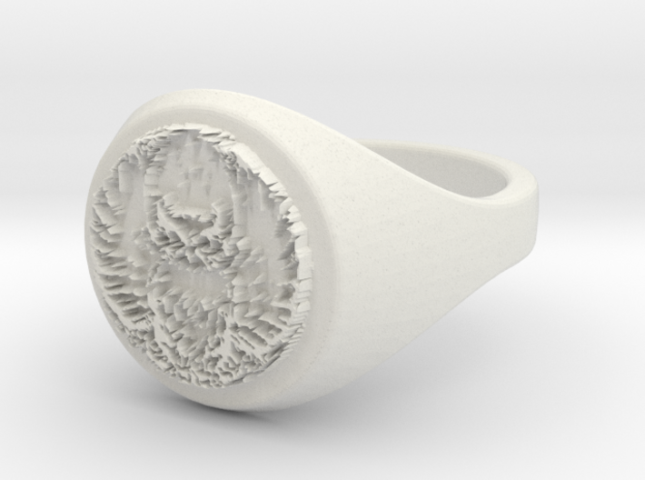 ring -- Wed, 18 Dec 2013 08:11:58 +0100 3d printed